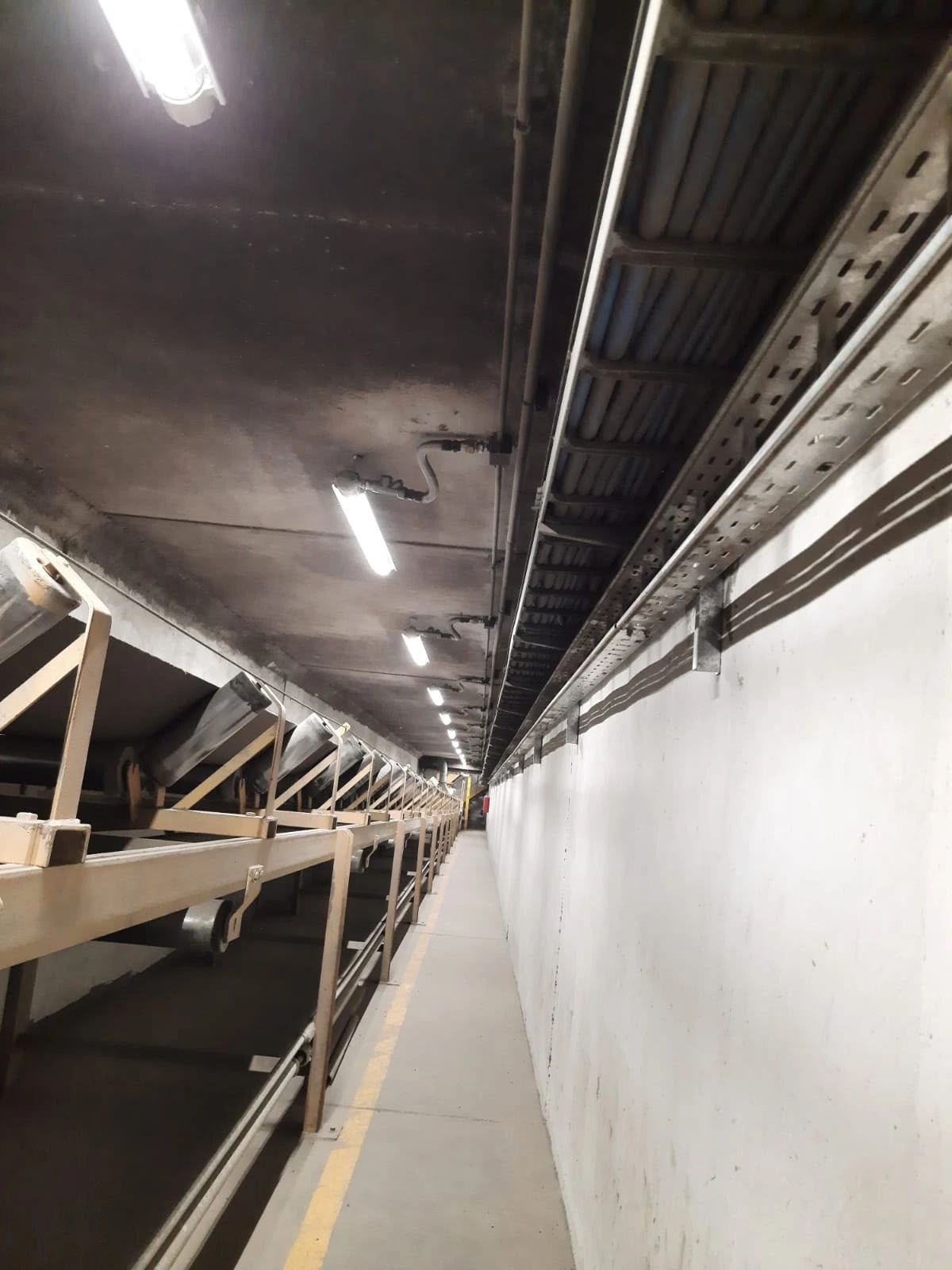 Iluminación antiexplosiva en túnel bajo silos